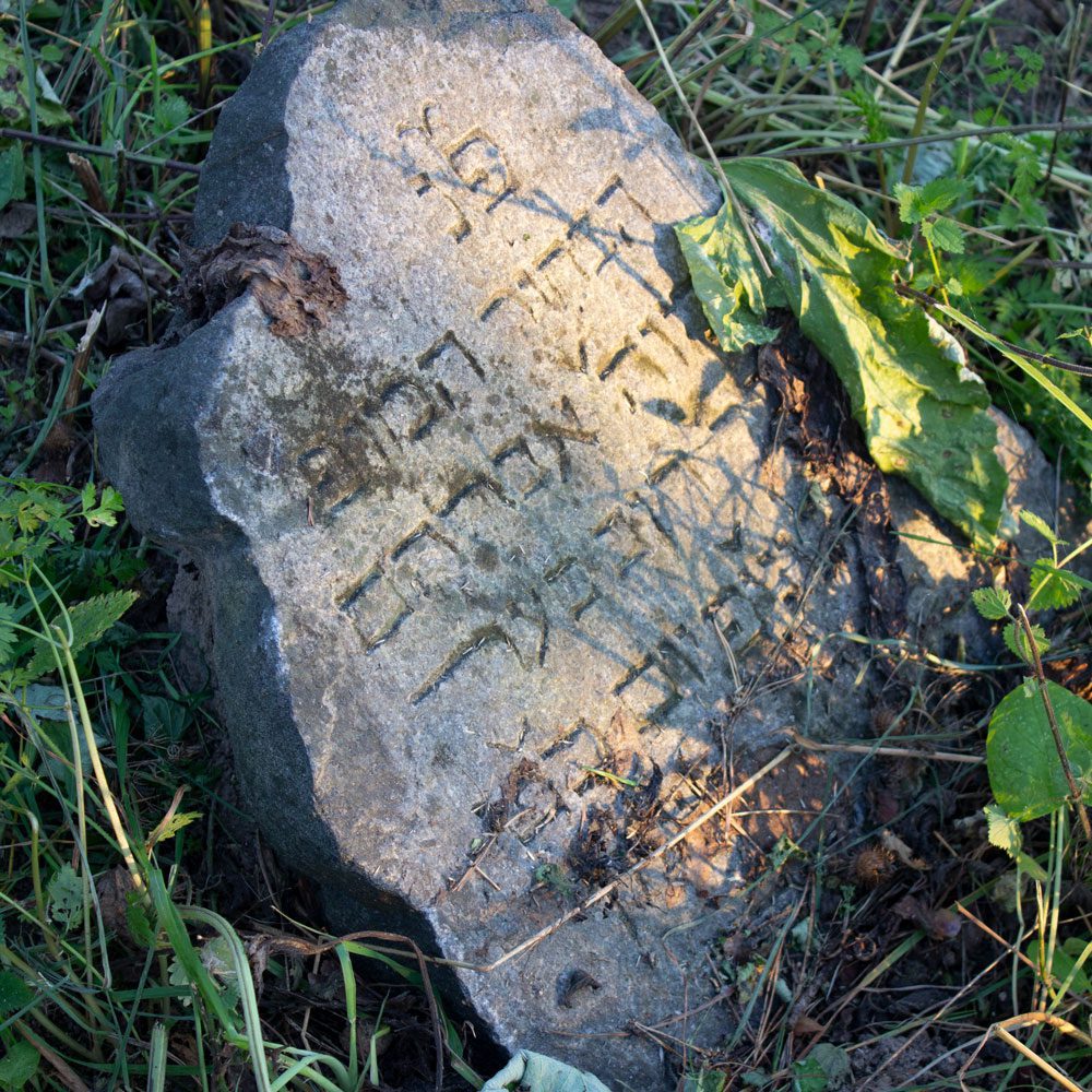 Preserving-the-past